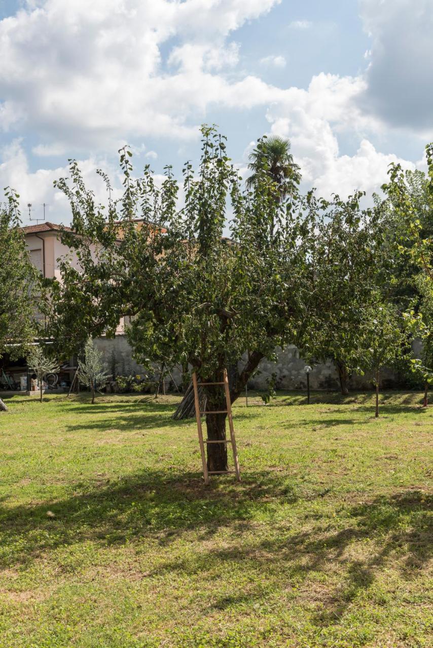 La Chiusa Delle Monache Lucca Eksteriør bilde